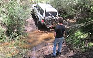 23-Gunther watches from behind as Zebra is recovered from a muddy creek crossing
